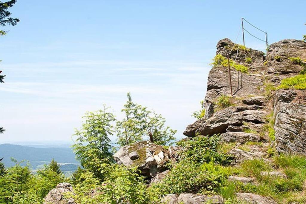 Bayerwald Chalet Kaitersberg Mit Sauna, Sonnenterrasse Und Garten Arnbruck Eksteriør billede